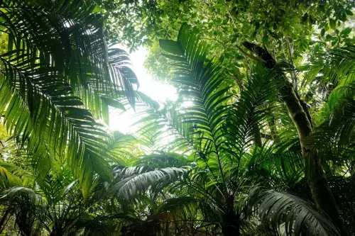 Costa Rica | 2021