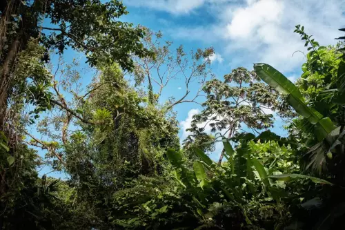 Costa Rica | 2021