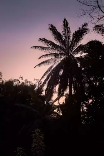 Costa Rica | 2021