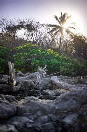 Costa Rica | 2021