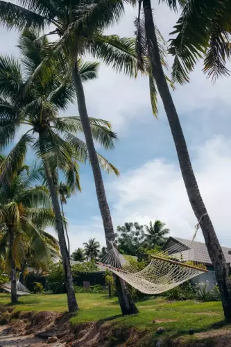 Fiji | 2023