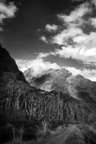 Neuseeland | 2023