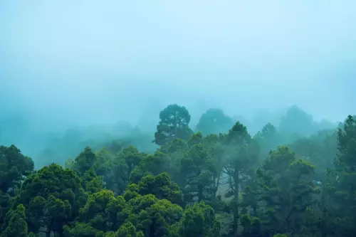 La Palma | 2016